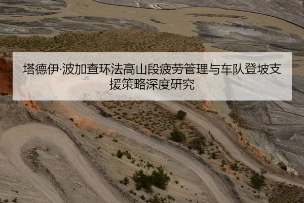 塔德伊·波加查环法高山段疲劳管理与车队登坡支援策略深度研究